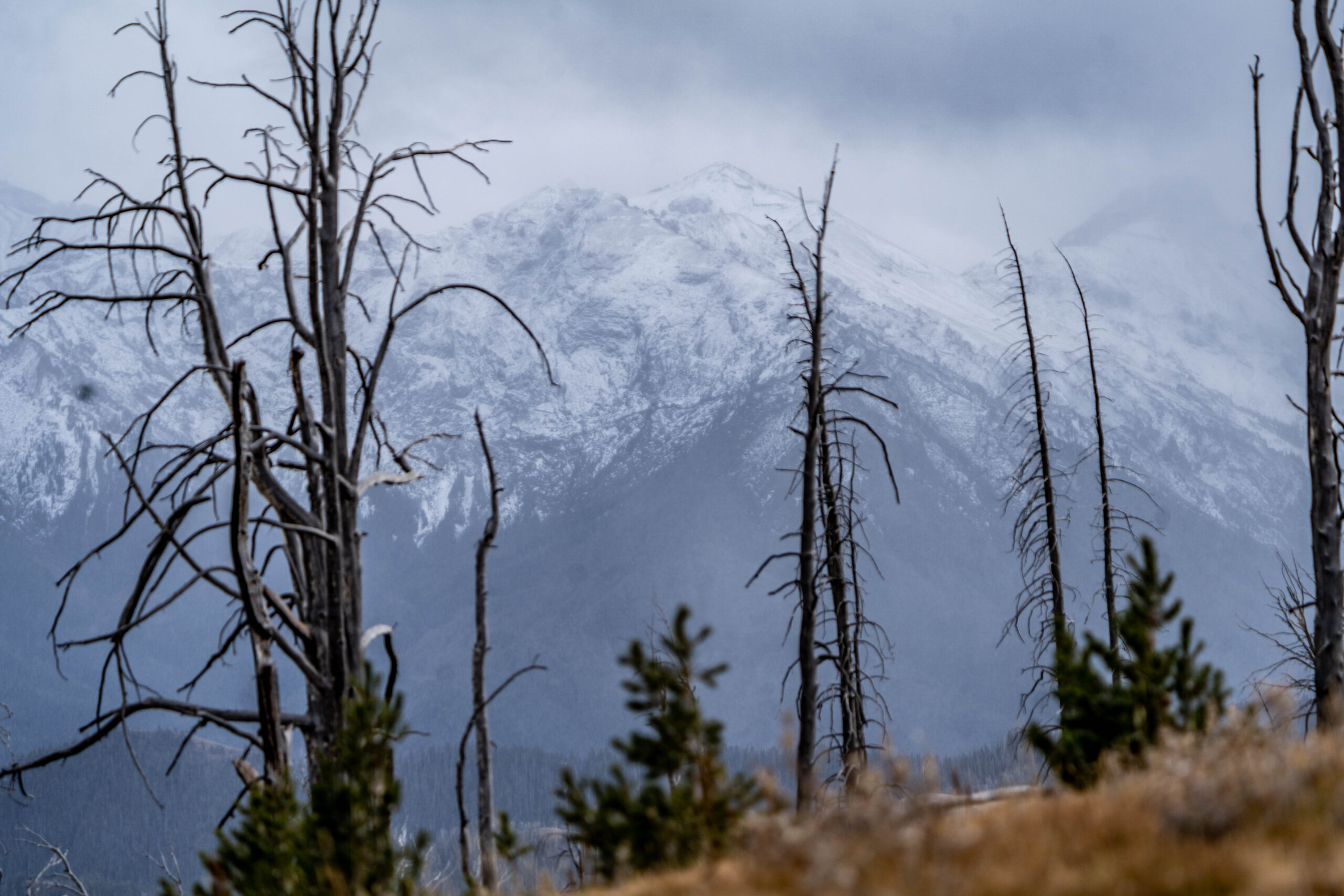 9858a6a8004ebcadfd5a11c59f050b1380015cdd