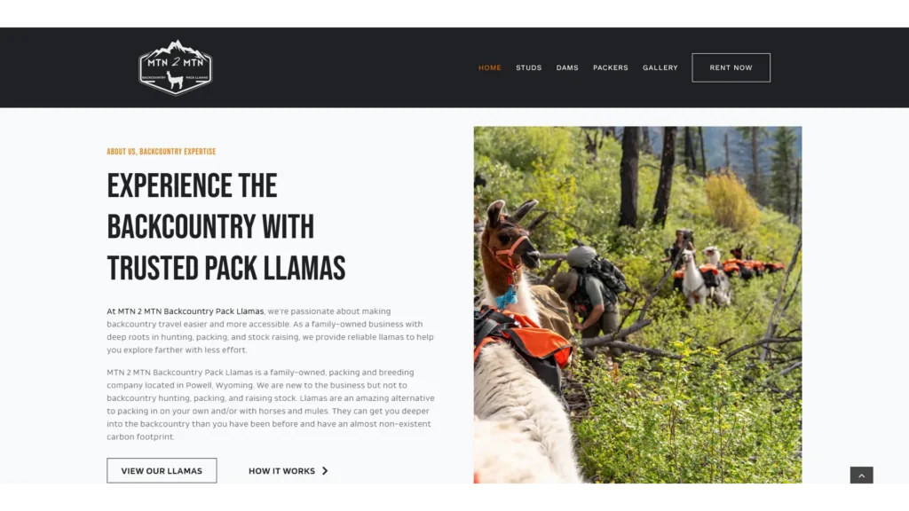 MTN 2 MTN Backcountry Pack Llamas Gallery 05