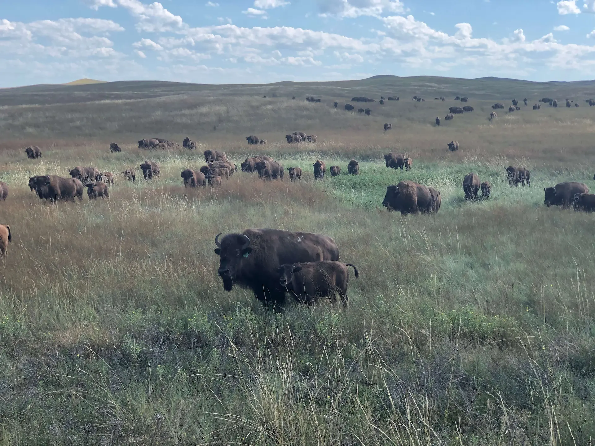 SEO For Small Business