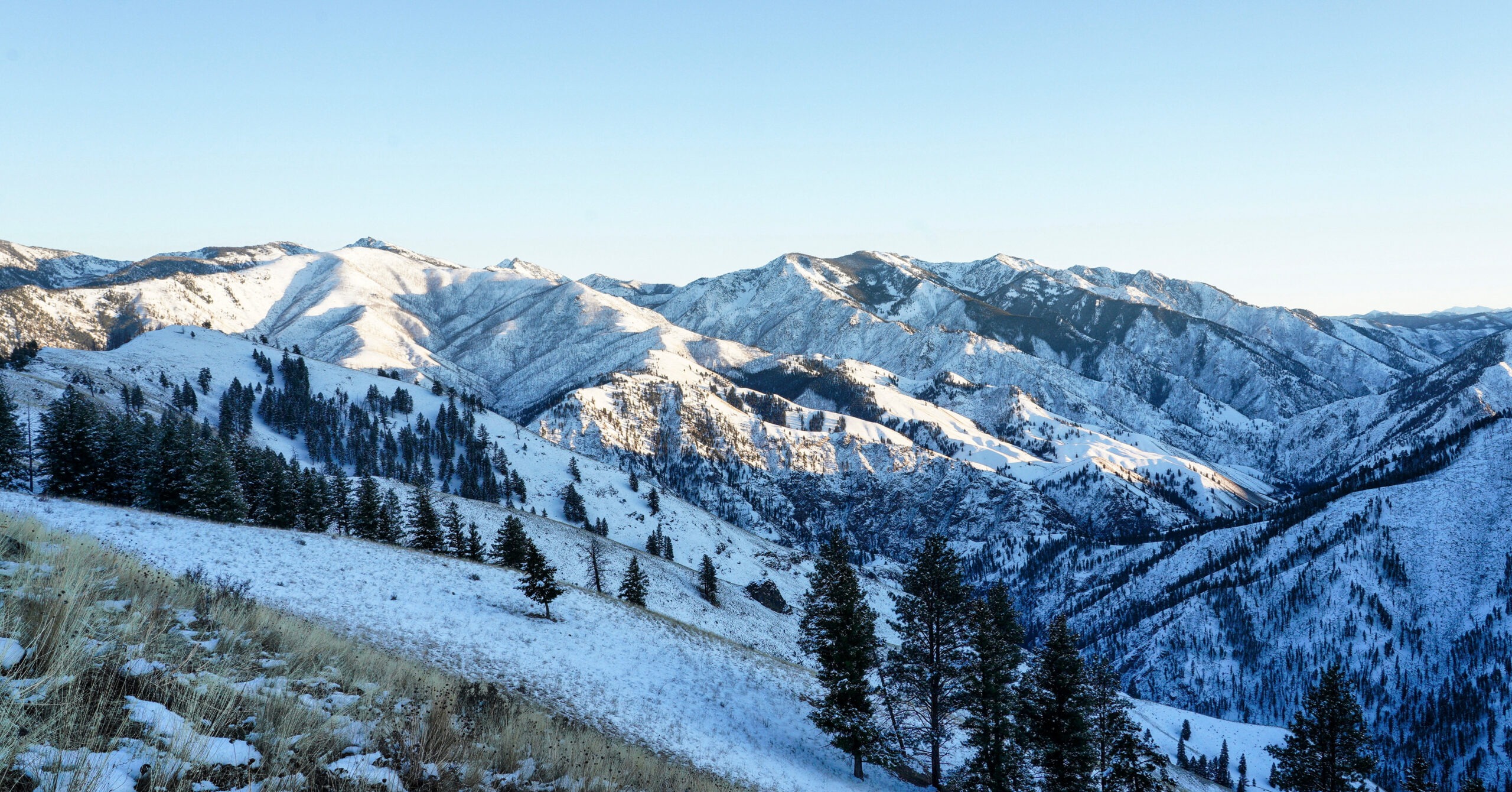 E62DC66F D52A 4D3F B0E9 0DE16955561A