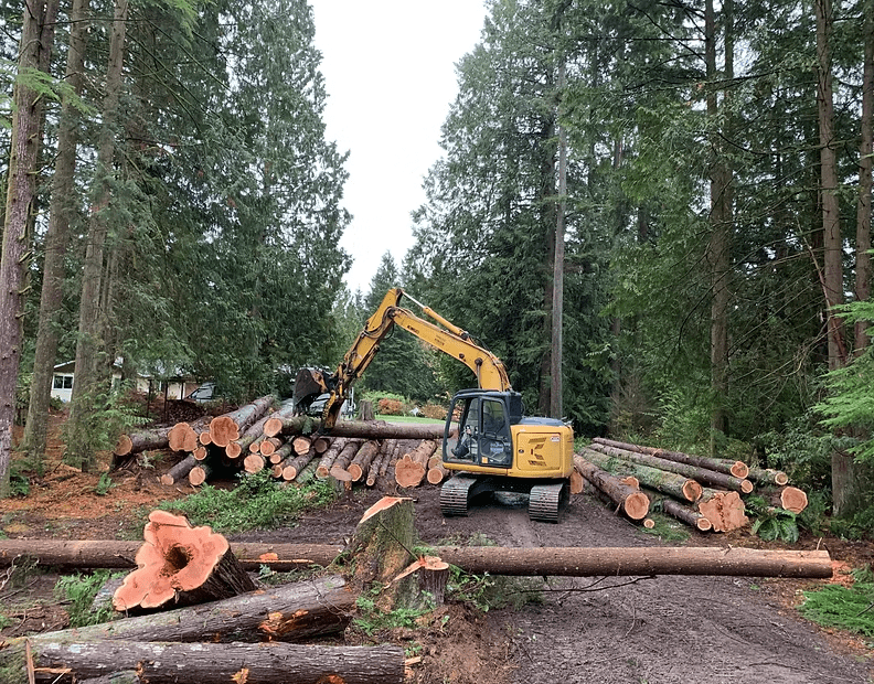 F9b2c08ec6366673ed1f85806eb33a701f13dcc6 1