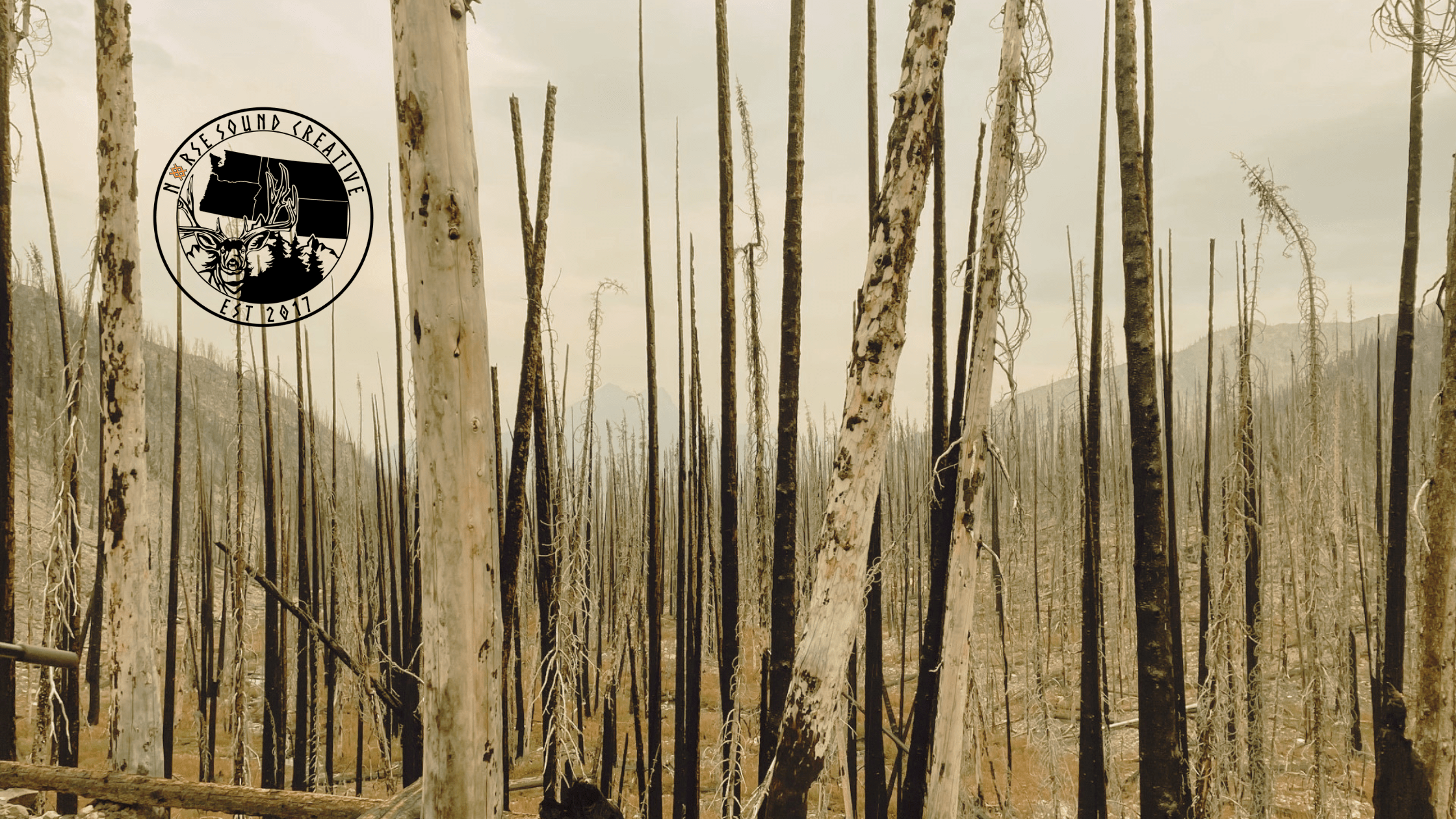 Norse Sound Creative Gallatin Valley Local