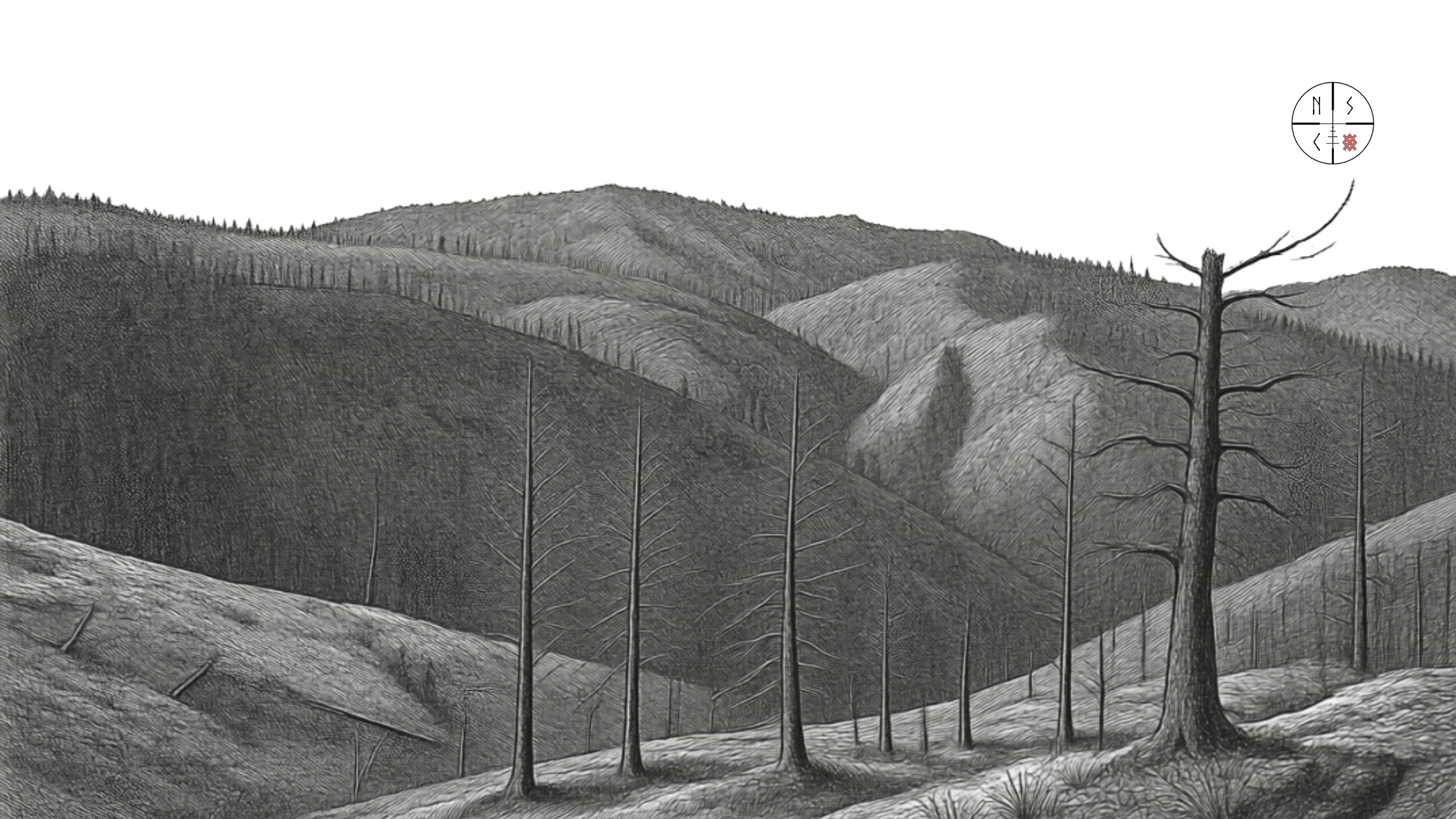 Norse Sound Creative Southwest Montana
