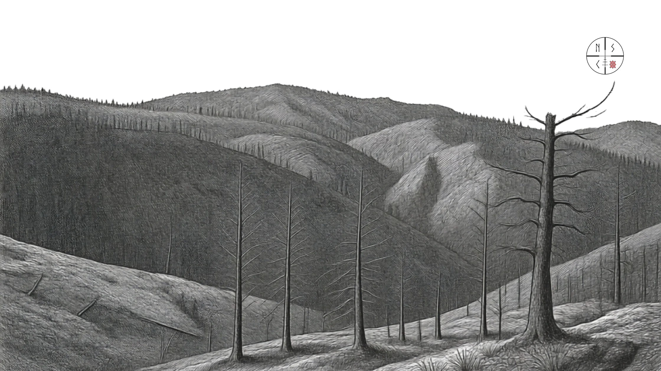 Norse Sound Creative Southwest Montana