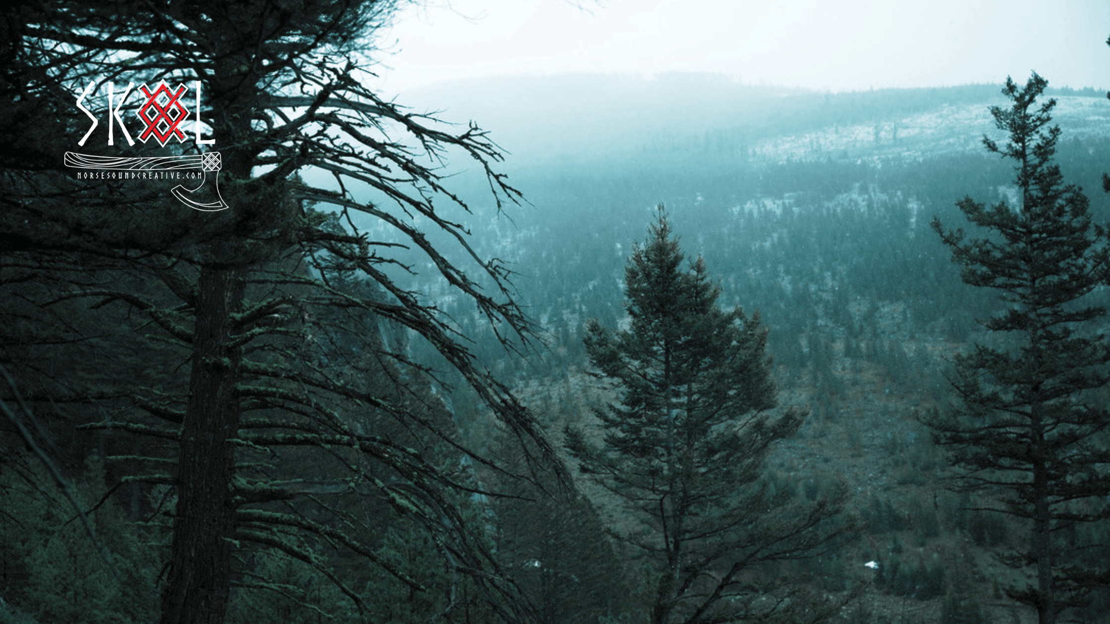 Bridger Mountains, Montana